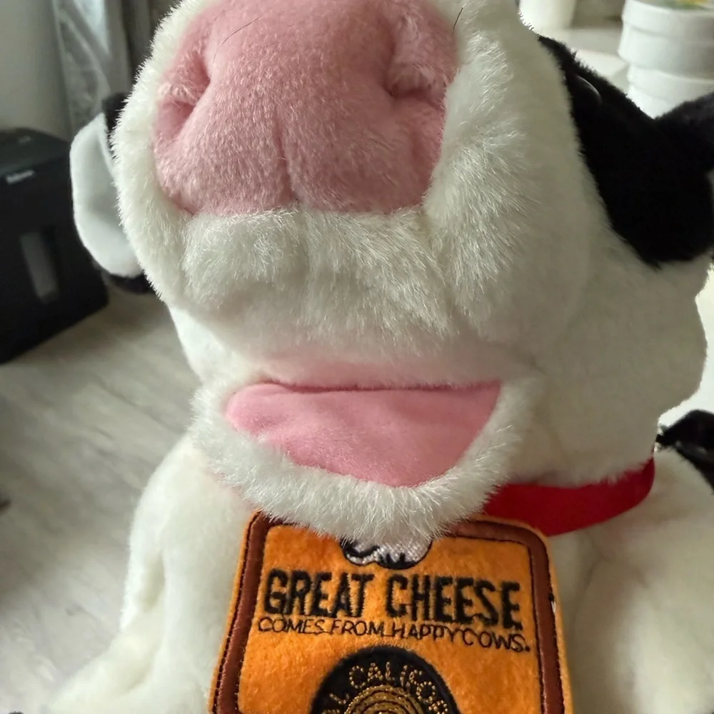 RBI california dairy